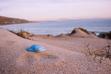 Fototapeta na wymiar Blue wooden turtle on the beach. “Punta Paloma” beach. Atlantic ocean, Tarifa, Andalusia, Spain.