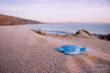 Blue wooden turtle on the beach. “Punta Paloma” beach. Atlantic ocean, Tarifa, Andalusia, Spain.