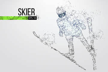 Fototapeta na wymiar Silhouette of a skier jumping isolated. Vector illustration