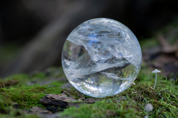 Lemurian Clear Quartz Sphere crystal magical orb on moss, bryophyta and bark, rhytidome in forest preserve.