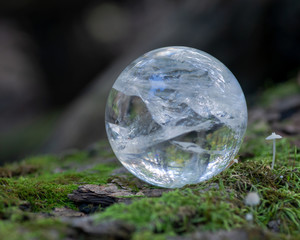 Lemurian Clear Quartz Sphere crystal magical orb on moss, bryophyta and bark, rhytidome in forest...