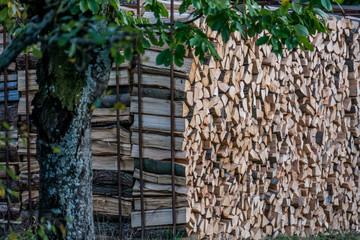 Ster Brennholz © focus finder