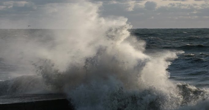 Storm at sea, high wave, high tide (slow motion)