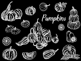 Set of hand drawn sketch style pumpkins isolated on black background. Vector illustration.