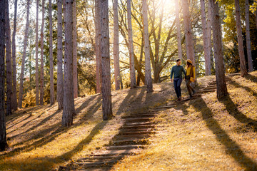Beautiful smiling love couple walking in colorful autumn forest park