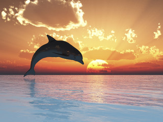 Jumping dolphin at sunset © Sergey Tokarev