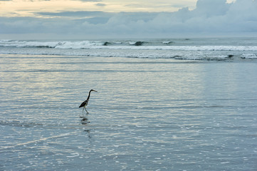 El Cuco Black Sand Beach, El Salvador