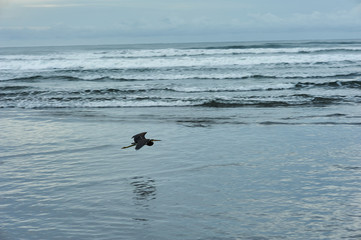Fototapeta premium El Cuco Black Sand Beach, El Salvador