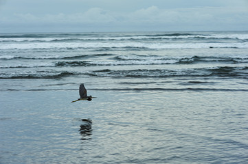 Naklejka premium El Cuco Black Sand Beach, El Salvador