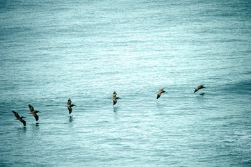 El Cuco Black Sand Beach, El Salvador