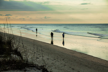 Shelling on Sanibel 3