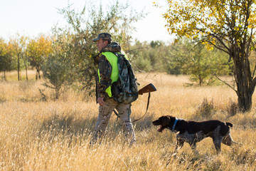 Hunters with a german drathaar and spaniel, pigeon hunting with dogs in reflective vests