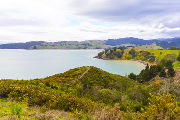 Fototapeta na wymiar Landscape Scenery of Waitawa Regional Park, New Zealand
