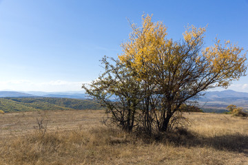 Autumn landscape of Cherna Gora (Monte Negro) mountain, Pernik Region, Bulgaria
