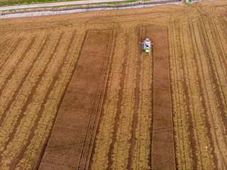 Aerial view of rice harvester making geometric figures in the field