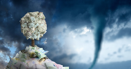 conceptual image of money tree in money pile over storm sky and approaching tornado