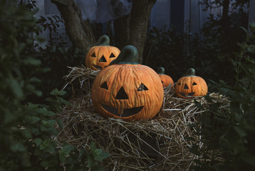 Some halloween pumpkins in the garden