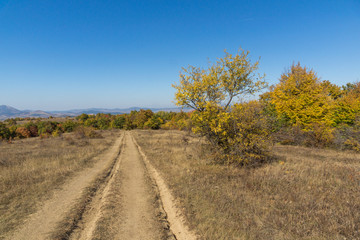 Autumn landscape of Cherna Gora (Monte Negro) mountain, Pernik Region, Bulgaria