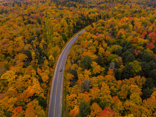 Obraz premium Muskoka Road Fall Colours