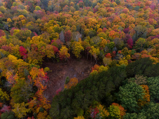 Muskoka Fall Colours from Above
