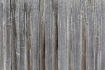 Obraz premium close up of wooden fence palings 