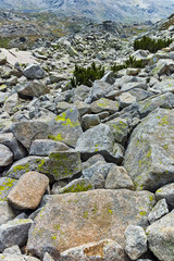 Summer landscape of Spano pole, Pirin National park, Bulgaria
