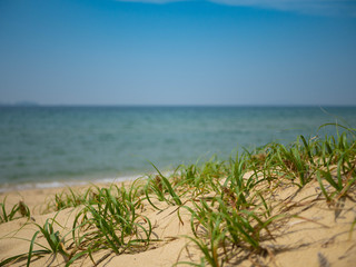 beach and sea