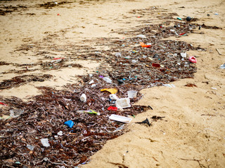 trash on the beach