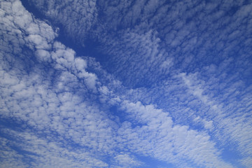 Blue skies and white clouds, clear skies