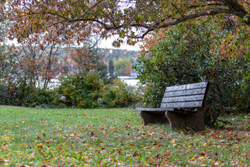 bench autumn landscape with leaves and colours