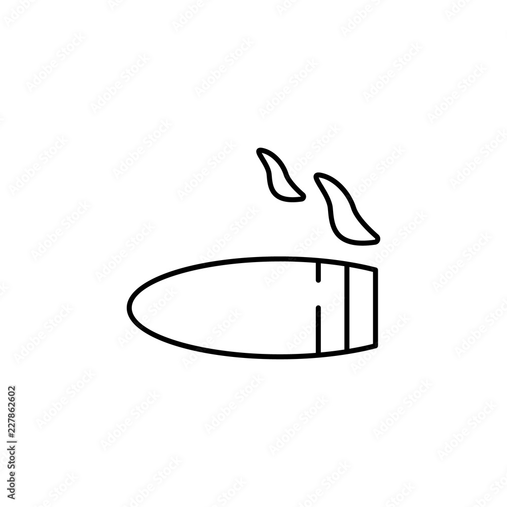 Poster cigar icon. element of bar for mobile concept and web apps iicon. thin line icon for website design 