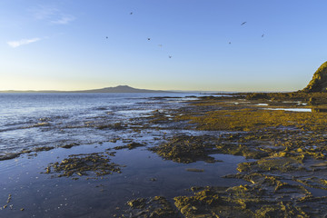 Landscape Scenery of Campbells Bay Beach Auckland, New Zealand; Rocky Part of the Beach