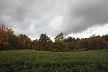 Meadow (Vermont USA)