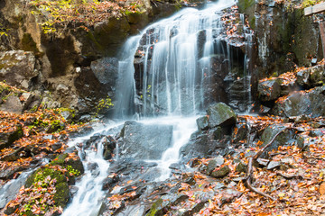 Fototapeta na wymiar Creek in the fall