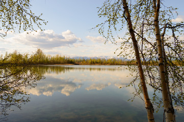 Calm Reflections of the Day