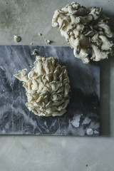 Fresh oyster mushrooms on a gray slate