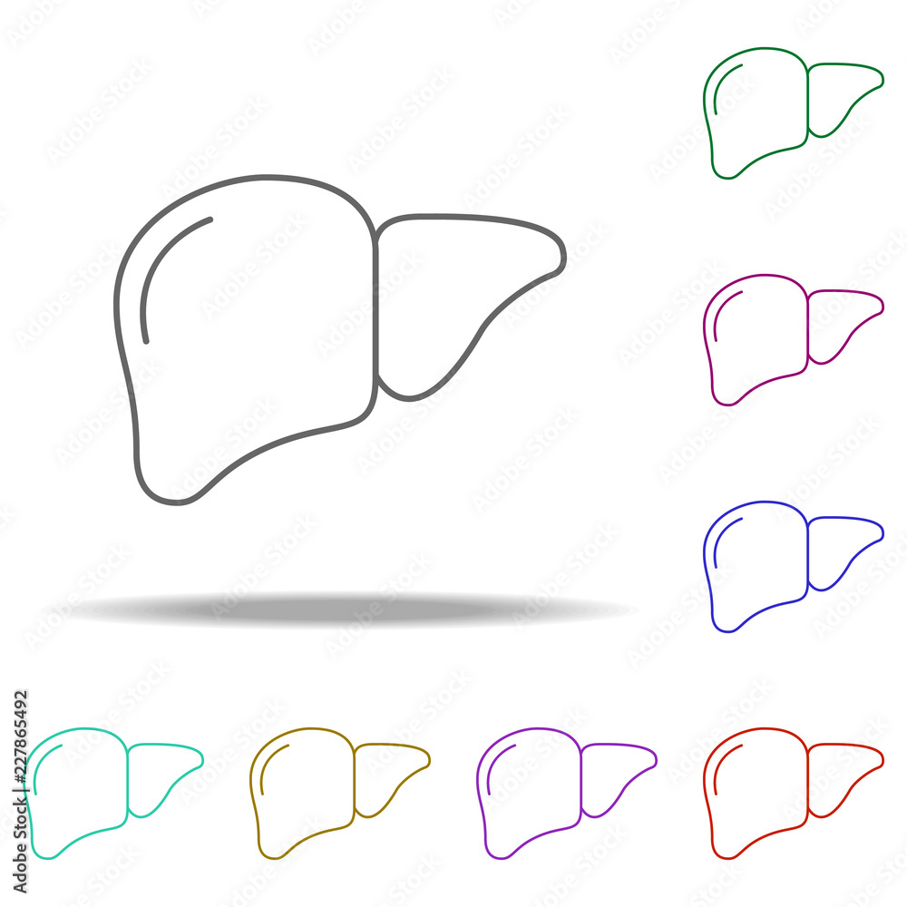 Poster liver line icon. elements of medicine in multi color style icons. simple icon for websites, web desi