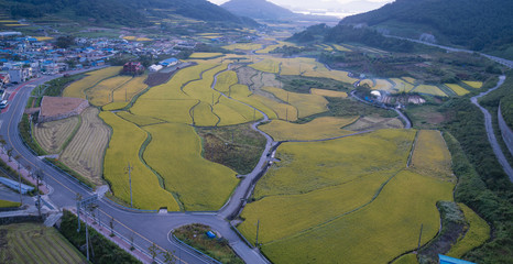 드론의로 항공촬영을 한 다락논