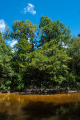 The wilderness of the deep south. This river that winds through the forest areas of Mississippi is a peaceful place for people to fish and animals to live.