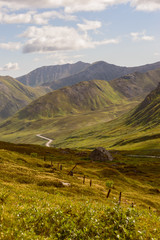 Hatcher Pass Road to Natural Bliss Portrait