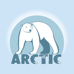 Fototapeta premium Polar bear symbol of the Arctic.