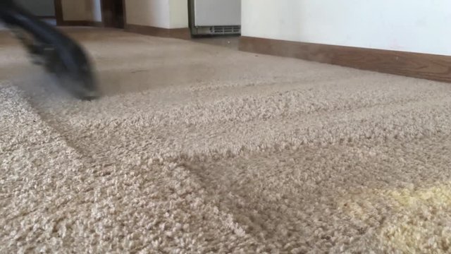 Carpet cleaning close up with wand pushing hot steam into surface while pulling up dirt thereafter. 