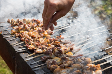 shish kebab on skewers