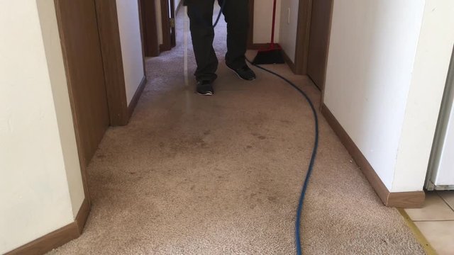 Carpet cleaning professional sprays chemicals onto carpeting to prepare for vacuuming surface thereafter.  