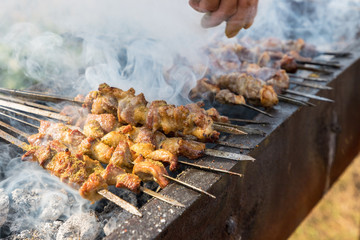 xinjiang roast lamb kebabs