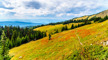 Hiking through the alpine meadows in fall colors on Tod Mountain near the village of Sun Peaks in the Shuswap Highlands of British Columbia, Canada
