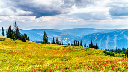 Hiking through the alpine meadows in fall colors on Tod Mountain near the village of Sun Peaks in the Shuswap Highlands of British Columbia, Canada
