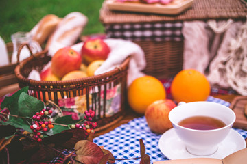 Summer picnic with a basket of food on blanket in the park.
