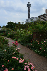 flower garden in Yokohama