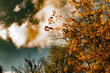 Cloudy autumn sky